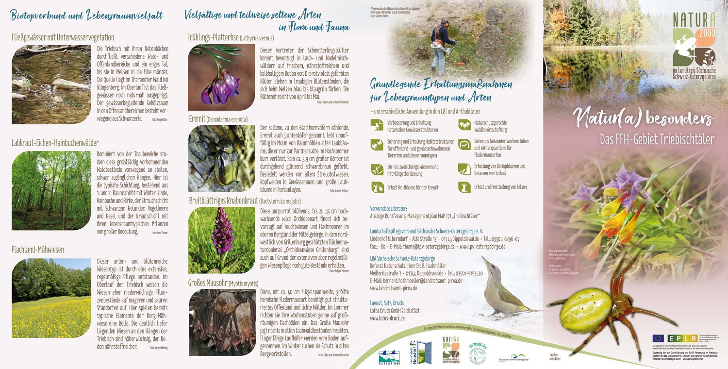 tl_files/downloads/Bilder Projekte/Projektstellen/Natura 2000 2.0/Flyer/Gebietsflyer_Triebischtal_1.jpg